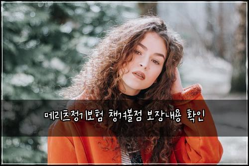 메리츠정기보험 챙겨볼점  보장내용 확인
