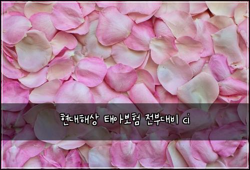 ํ๋ํด์ ํ์๋ณดํ ์ ๋ถ๋๋น ci