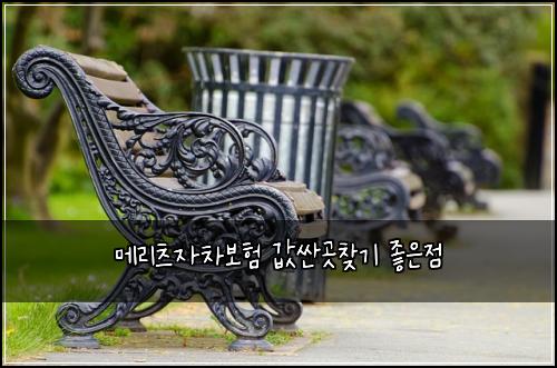 메리츠자차보험 값싼곳찾기  좋은점