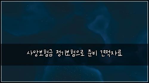 사망보험금 정기보험으로 준비 견적자료