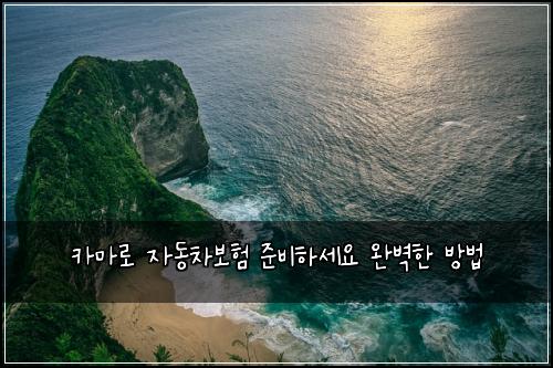 카마로 자동차보험 준비하세요  완벽한 방법