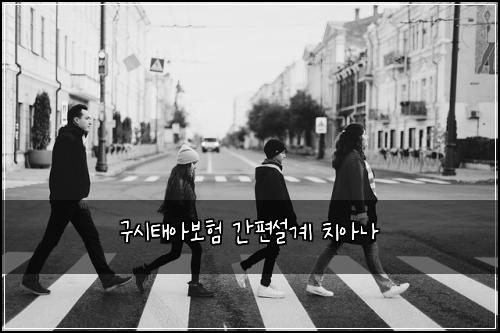 구시태아보험 간편설계  치아나