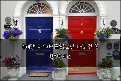 무배당 하이라이프종신보험 가입 전 꼭 확인하세요