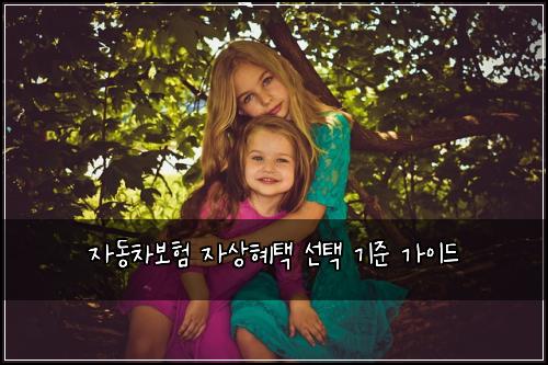 자동차보험 자상혜택 선택 기준 가이드