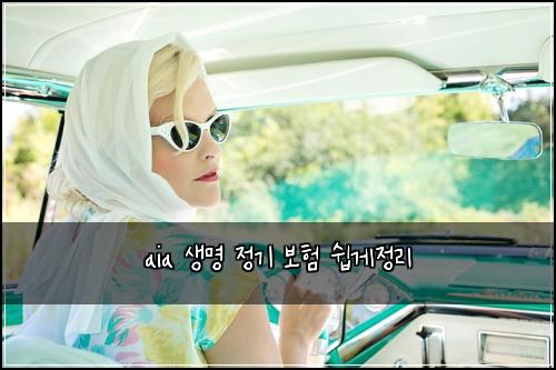 aia 생명 정기 보험 쉽게정리 