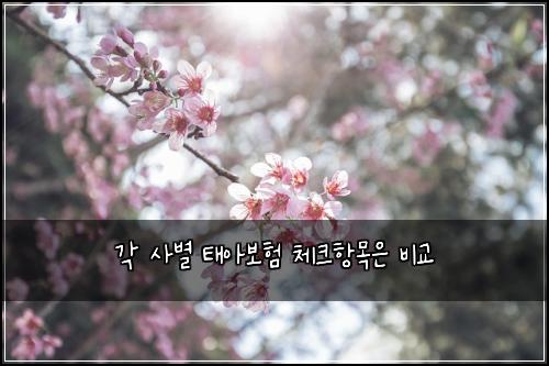 각 사별 태아보험 체크항목은  비교