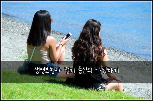 생명보험사 정기 종신의 가입하기