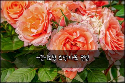 ์ด๋ฆฐ์ด๋ณดํ ๋ณด์ฅ์๋ฃ ์ ์ผ
