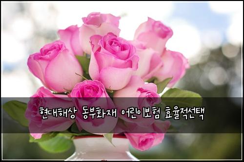현대해상 동부화재 어린이보험 효율적선택 