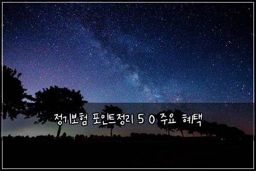 ์ ๊ธฐ๋ณดํ ํฌ์ธํธ์ ๋ฆฌ 5 0 ์ฃผ์ ํํ
