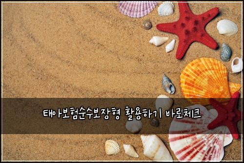 태아보험순수보장형 활용하기 바로체크
