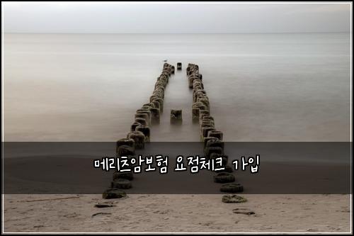 메리츠암보험 요점체크  가입