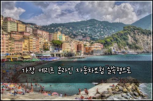 가장 메리츠 온라인 자동차보험 실속형으로 