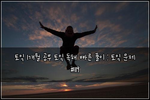 토익 1개월 공부 토익 독해 빠른 풀이 : 토익 문제 #119