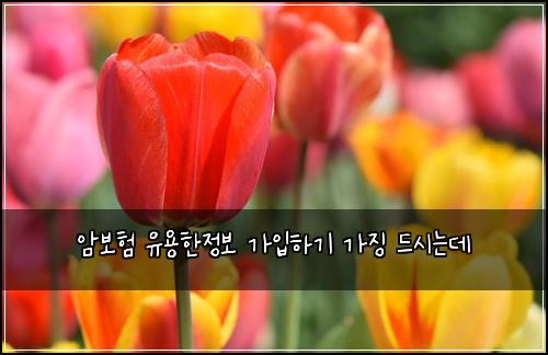 암보험 유용한정보  가입하기 가징 드시는데
