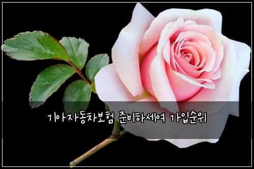 기아자동차보험 준비하세여  가입순위