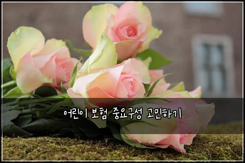 어린이 보험 중요구성  고민하기