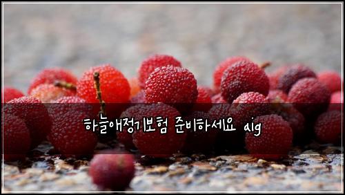 ํ๋์ ์ ๊ธฐ๋ณดํ ์ค๋นํ์ธ์ aig