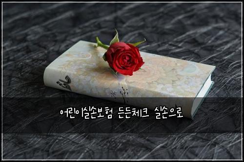 ์ด๋ฆฐ์ด์ค์๋ณดํ ๋ ๋ ์ฒดํฌ ์ค์์ผ๋ก