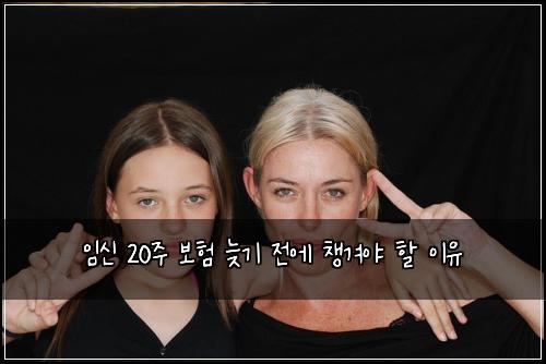 임신 20주 보험 늦기 전에 챙겨야 할 이유