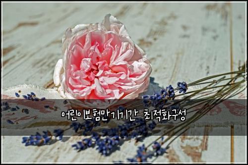 ์ด๋ฆฐ์ด๋ณดํ๋ง๊ธฐ๊ธฐ๊ฐ ์ต์ ํ๊ตฌ์ฑ