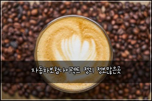 자동차보험다이렉트 정리 정보많은곳