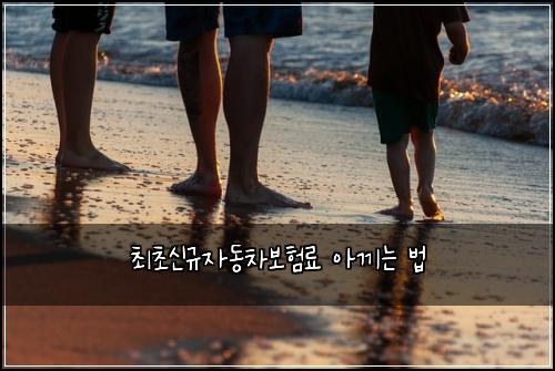 최초신규자동차보험료 아끼는 법