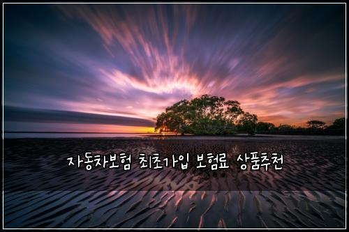 자동차보험 최초가입 보험료 상품추천