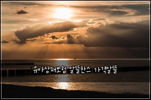 유아상해보험 알뜰찬스  가격알뜰