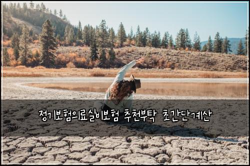 정기보험의료실비보험 추천부탁 초간단계산