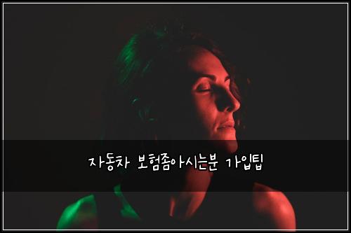 자동차 보험좀아시는분 가입팁