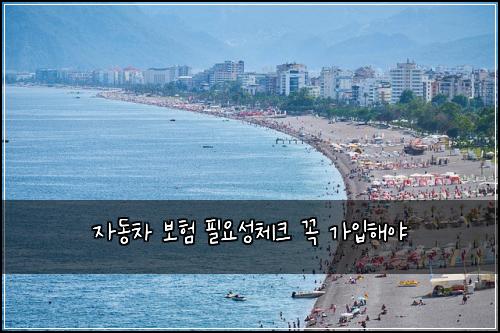 자동차 보험 필요성체크  꼭 가입해야