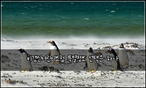 비갱신어린이보험 특별정보  선택은 하나