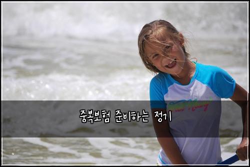 중복보험 준비하는  정기