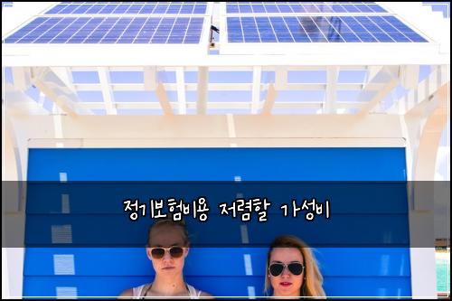 정기보험비용 저렴할 가성비