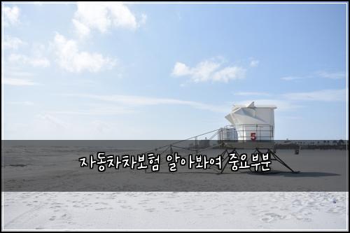자동차차보험 알아봐여  중요부분