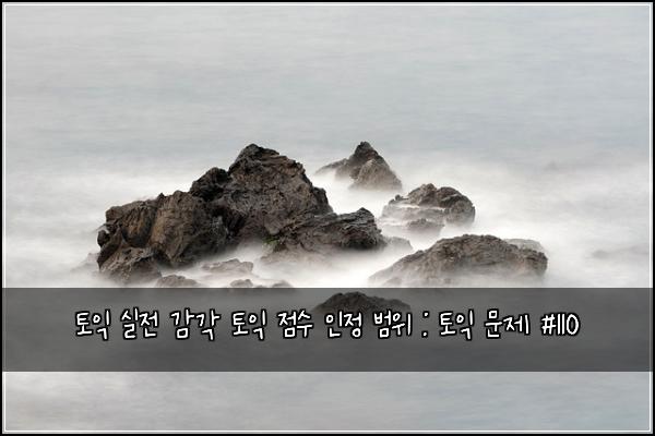 토익 실전 감각 토익 점수 인정 범위 : 토익 문제 #110