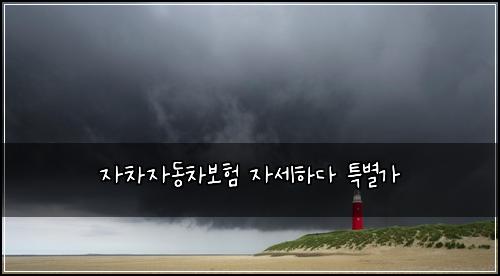 자차자동차보험 자세하다  특별가