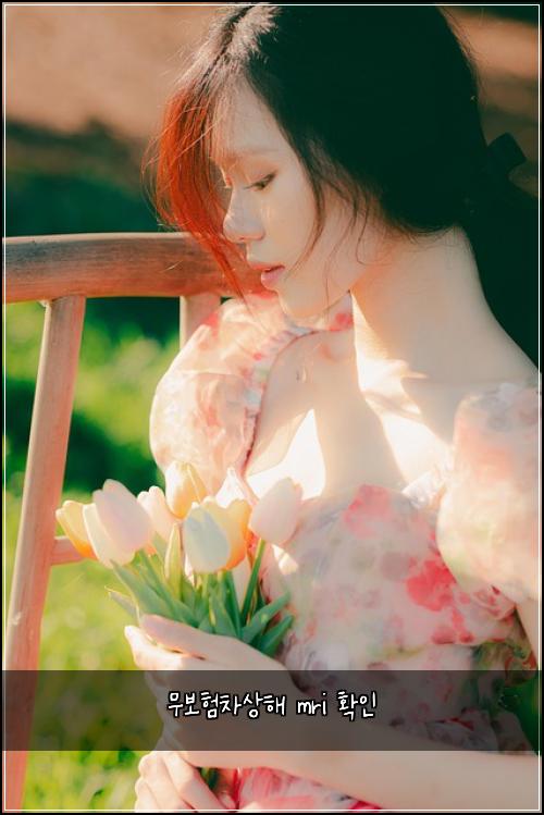 ๋ฌด๋ณดํ์ฐจ์ํด mri ํ์ธ