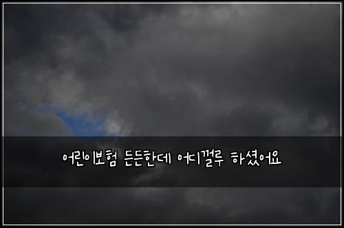 어린이보험 든든한데  어디껄루 하셨어요