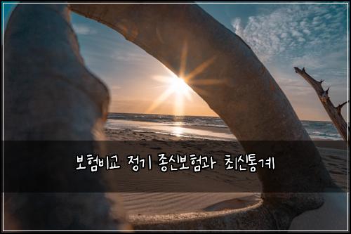 ๋ณดํ๋น๊ต ์ ๊ธฐ ์ข
์ ๋ณดํ๊ณผ ์ต์ ํต๊ณ