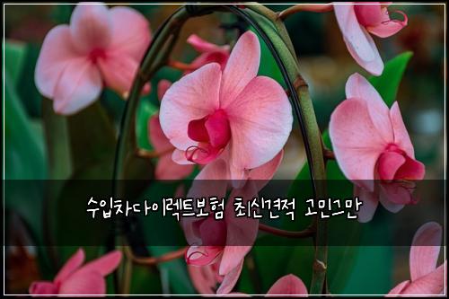 수입차다이렉트보험 최신견적  고민그만