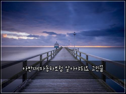 아반떼자동차보험 알아야되요  고민끝