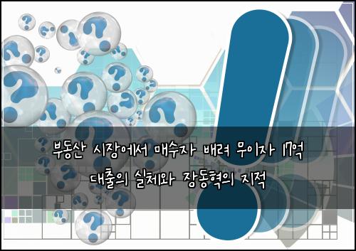 부동산 시장에서 매수자 배려 무이자 17억 대출의 실체와 장동혁의 지적