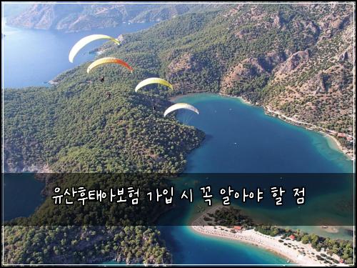 유산후태아보험 가입 시 꼭 알아야 할 점
