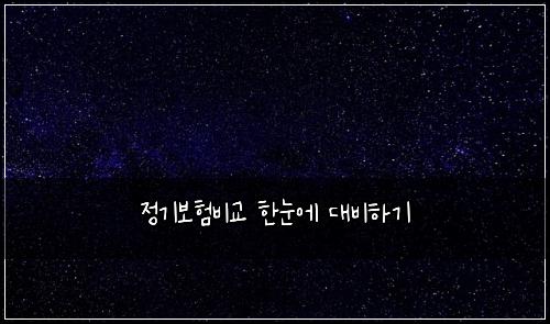 정기보험비교 한눈에 대비하기