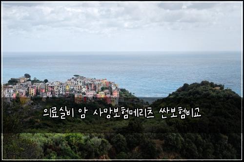 의료실비 암 사망보험메리츠 싼보험비교