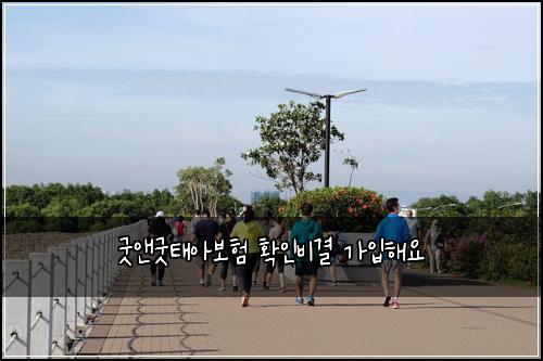 굿앤굿태아보험 확인비결  가입해요
