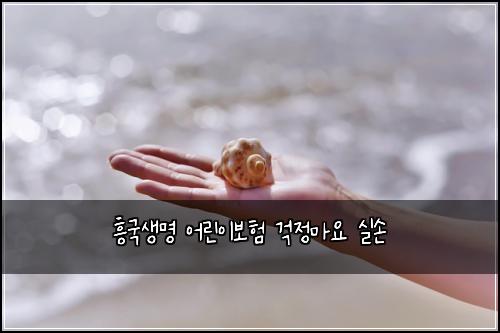 흥국생명 어린이보험 걱정마요  실손