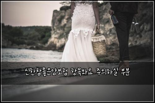 신한참좋은암보험 항목봐요  주의하실 부분